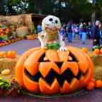 Halloween Holiday 2022 summary